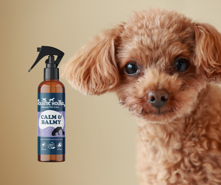 The Holistic Hound Calm & Balmy
