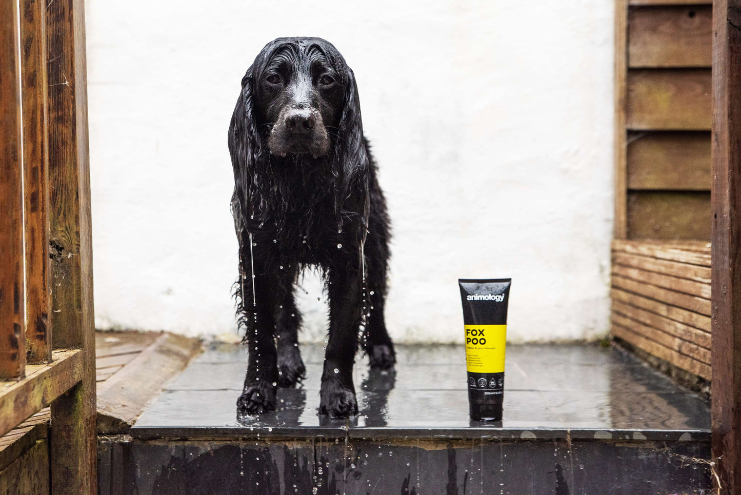 Animology Fox Poo Dog Shampoo