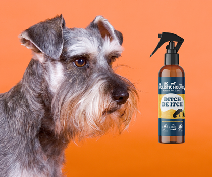 The Holistic Hound Ditch de Itch