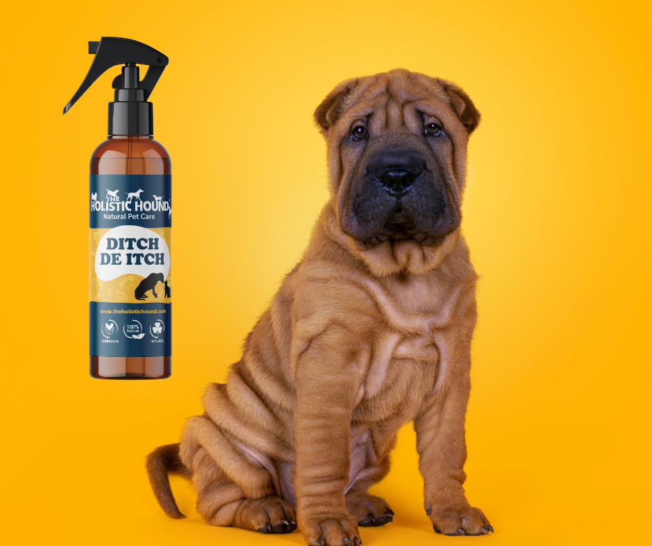 The Holistic Hound Ditch de Itch