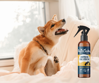 The Holistic Hound Ditch de Itch
