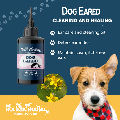 The Holistic Hound Dog Eared