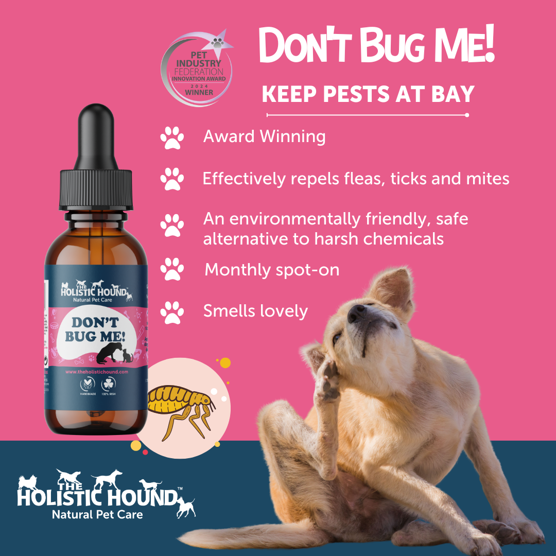 The Holistic Hound Don't Bug Me