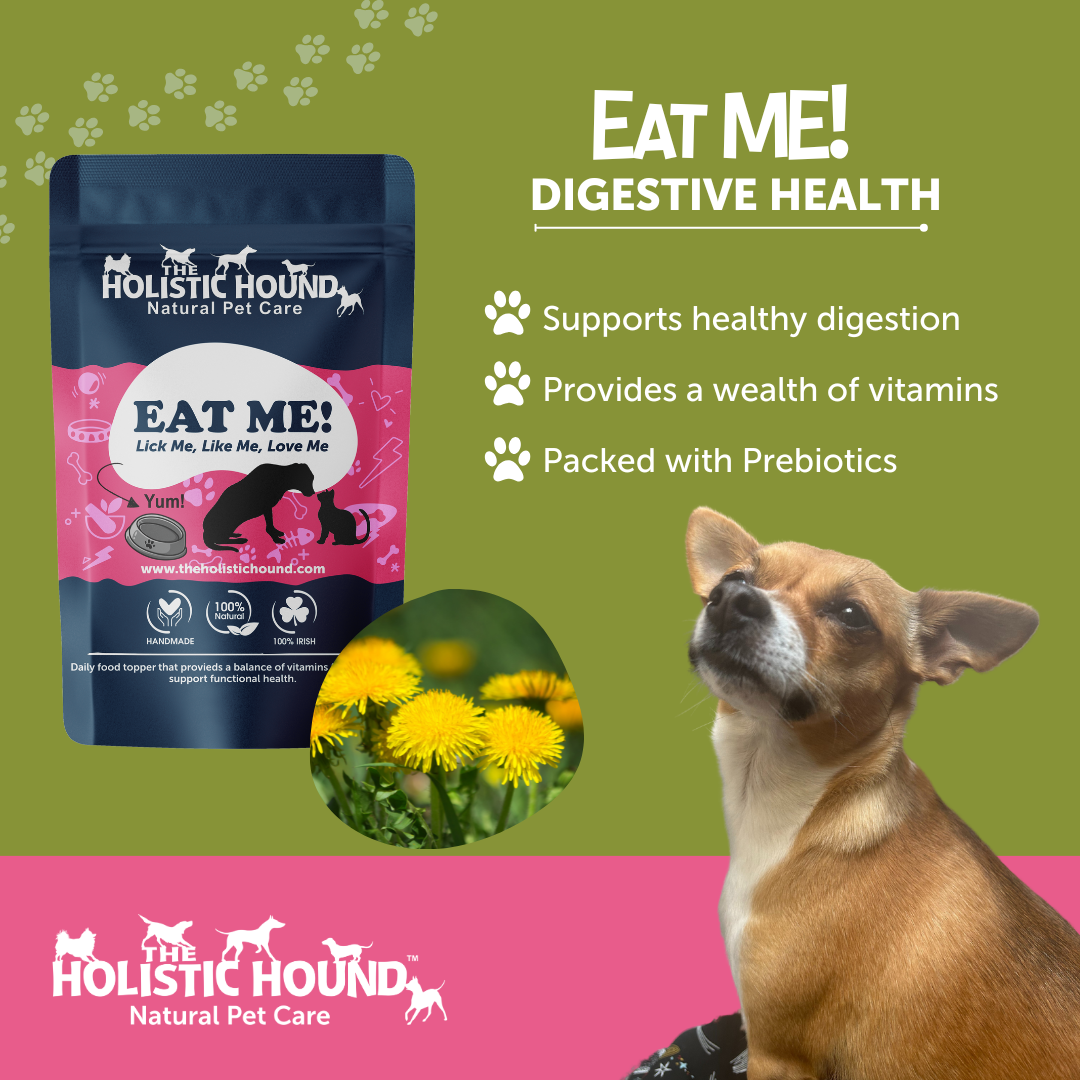 The Holistic Hound Eat Me!
