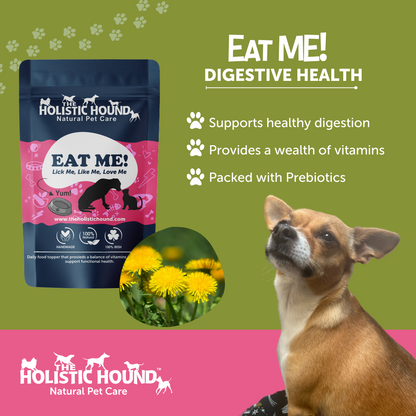 The Holistic Hound Eat Me!