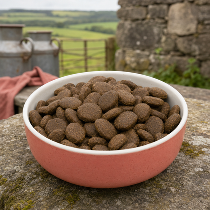 Tora Heritage Salmon Skin & Coat Adult Dog Food