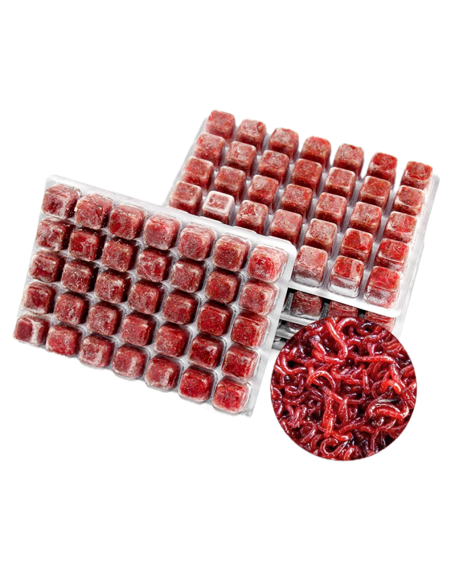 Ocean Nutrition Frozen Bloodworms