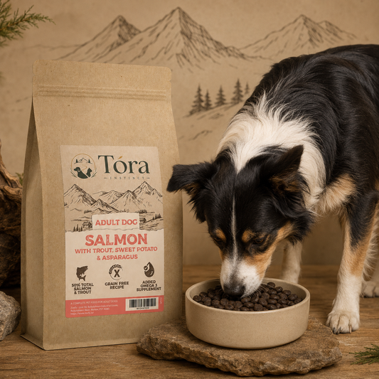 Tora Instinct Salmon Adult Dog Food