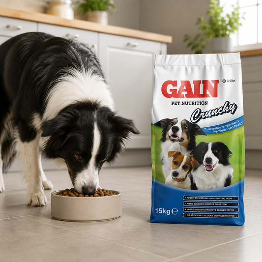 GAIN Crunchy