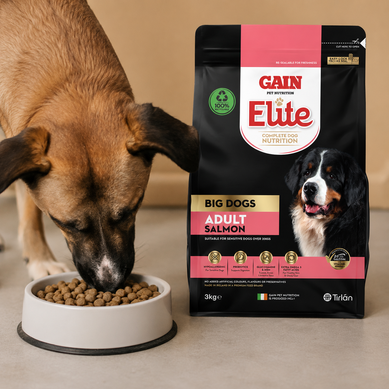 GAIN Elite Big Dogs Adult Salmon