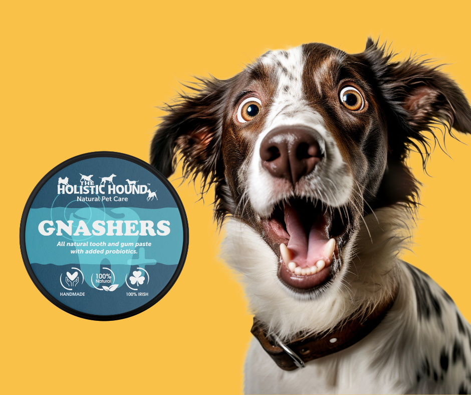 The Holistic Hound Gnashers