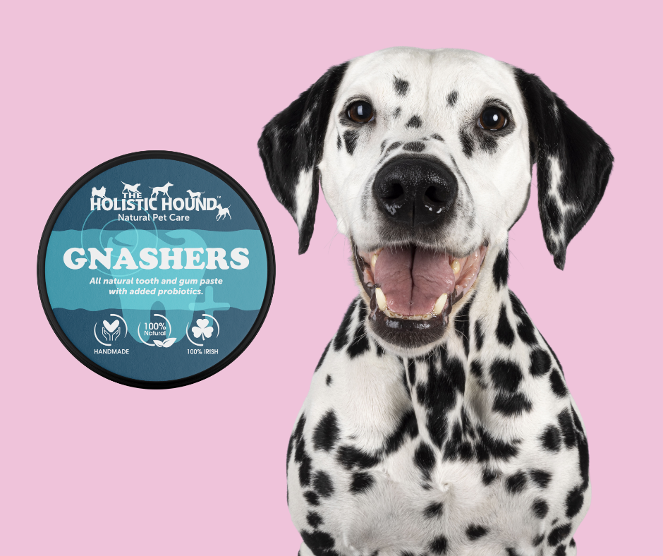 The Holistic Hound Gnashers