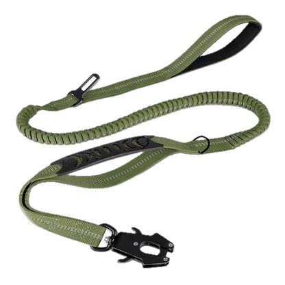 Cargo Bungee Lead