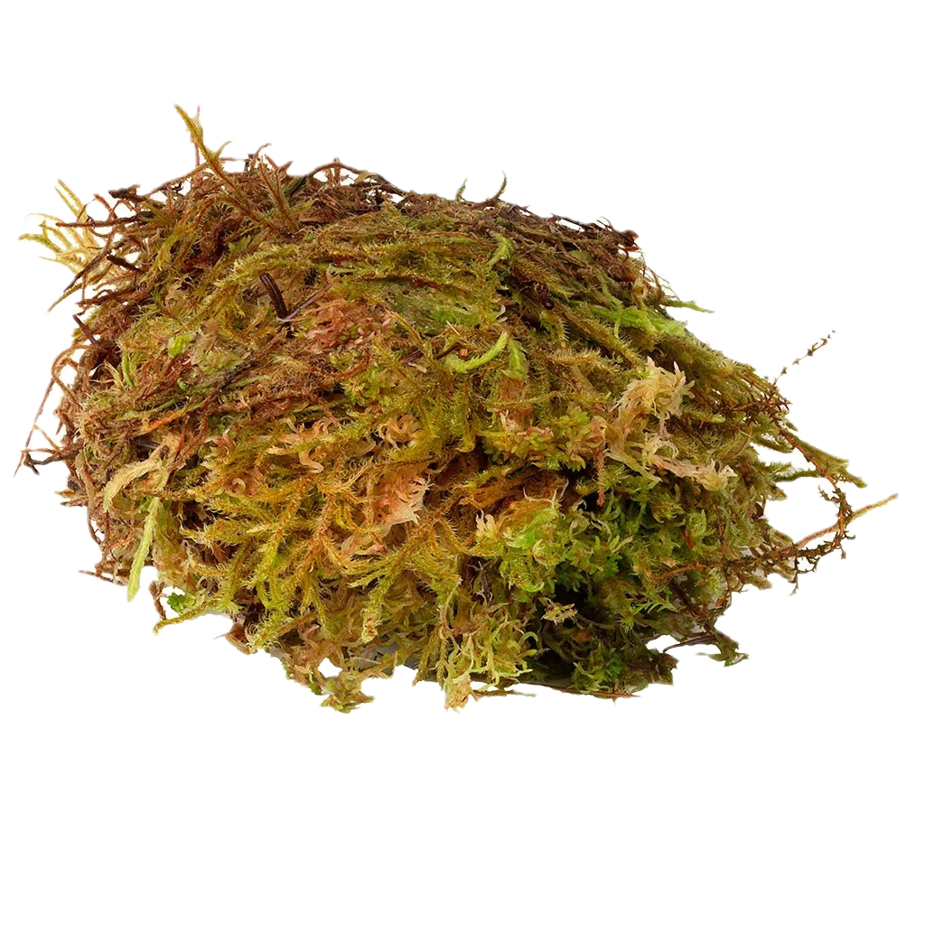 HabiStat Sphagnum Moss 1kg