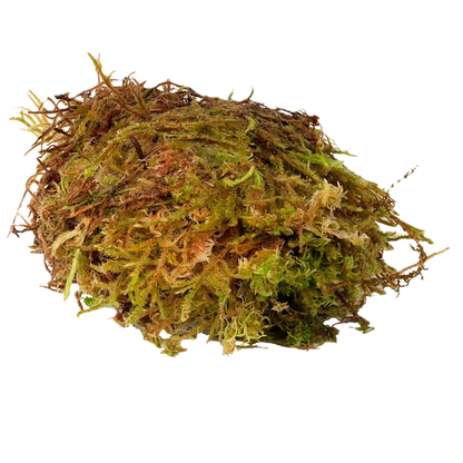 HabiStat Sphagnum Moss 1kg
