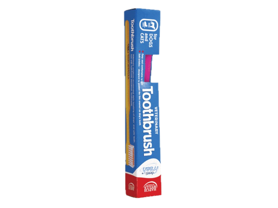 Hatchwells DentiFresh Veterinary Toothbrush