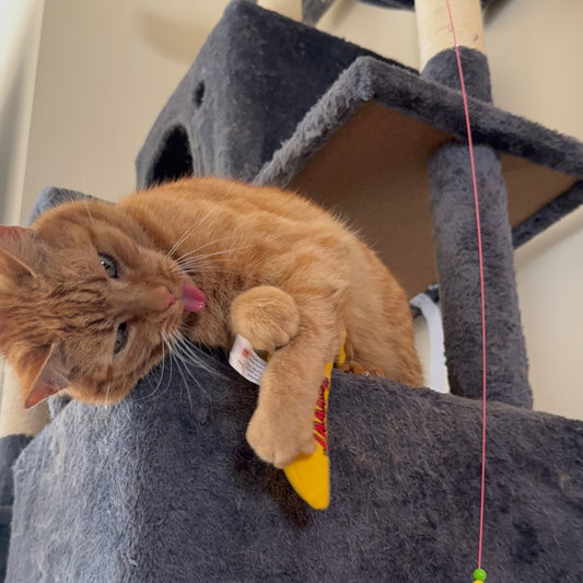 Yeowww! Catnip Banana Cat Toy