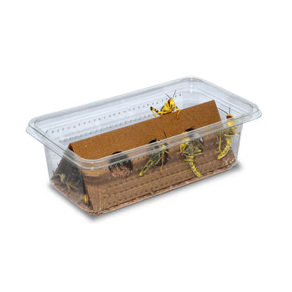 Monkfield Locust Pre-Pack