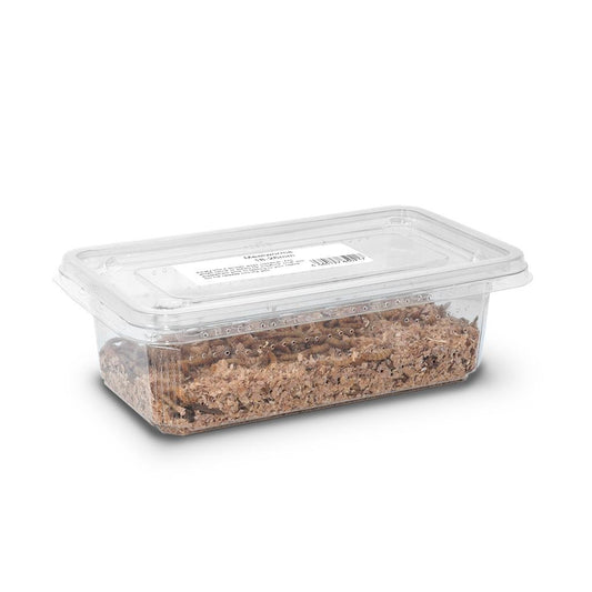 Monkfield mealworms product image