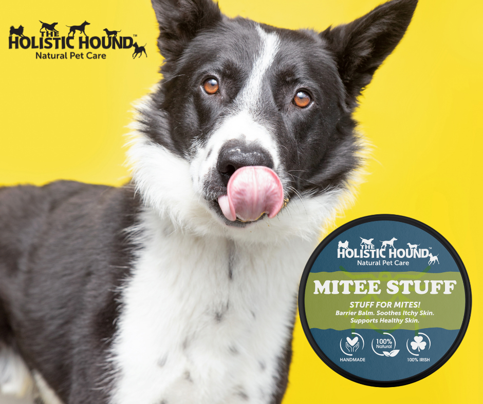 The Holistic Hound Mite-ee Stuff