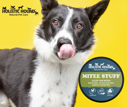 The Holistic Hound Mite-ee Stuff