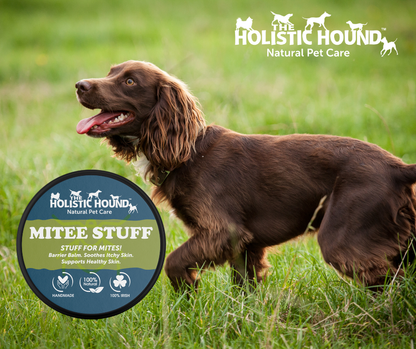 The Holistic Hound Mite-ee Stuff