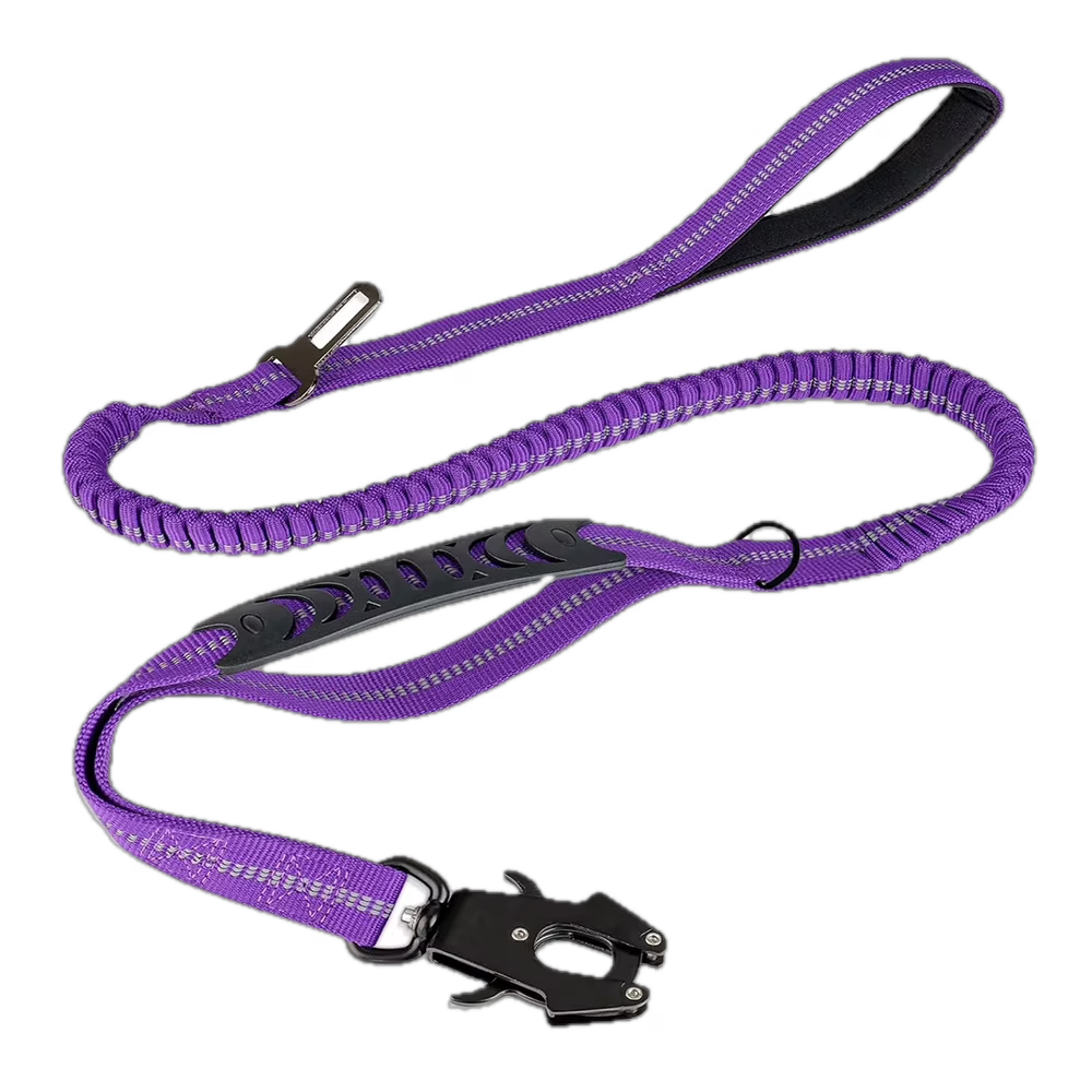 Cargo Bungee Lead