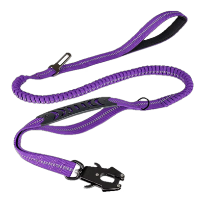 Cargo Bungee Lead