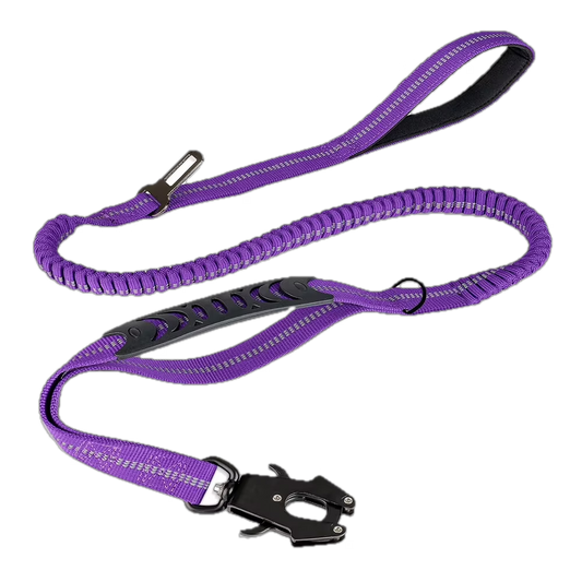 Cargo Bungee Lead