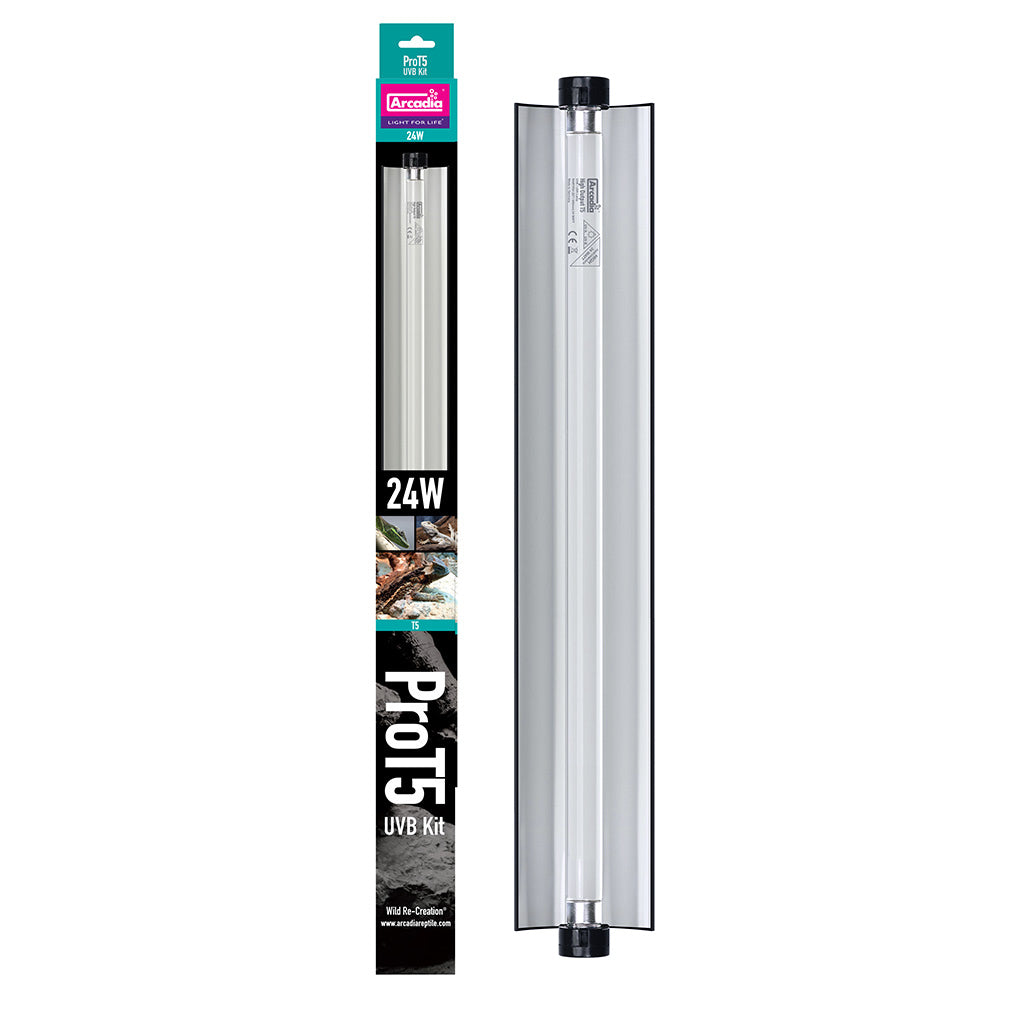 Arcadia Pro T5 UVB Kit – Forest 6% 24 Watt — RARTP24F product packshot
