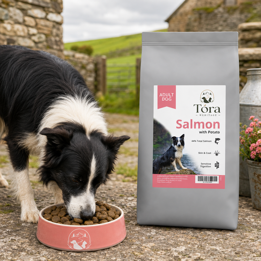 Tora Heritage Salmon Adult Dog Food