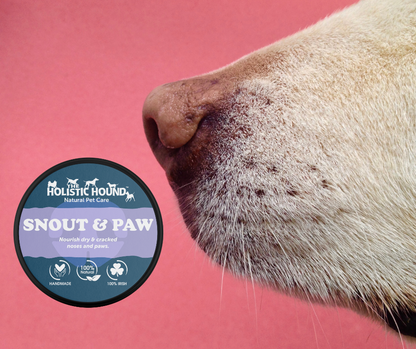 The Holistic Hound Snout & Paw Balm