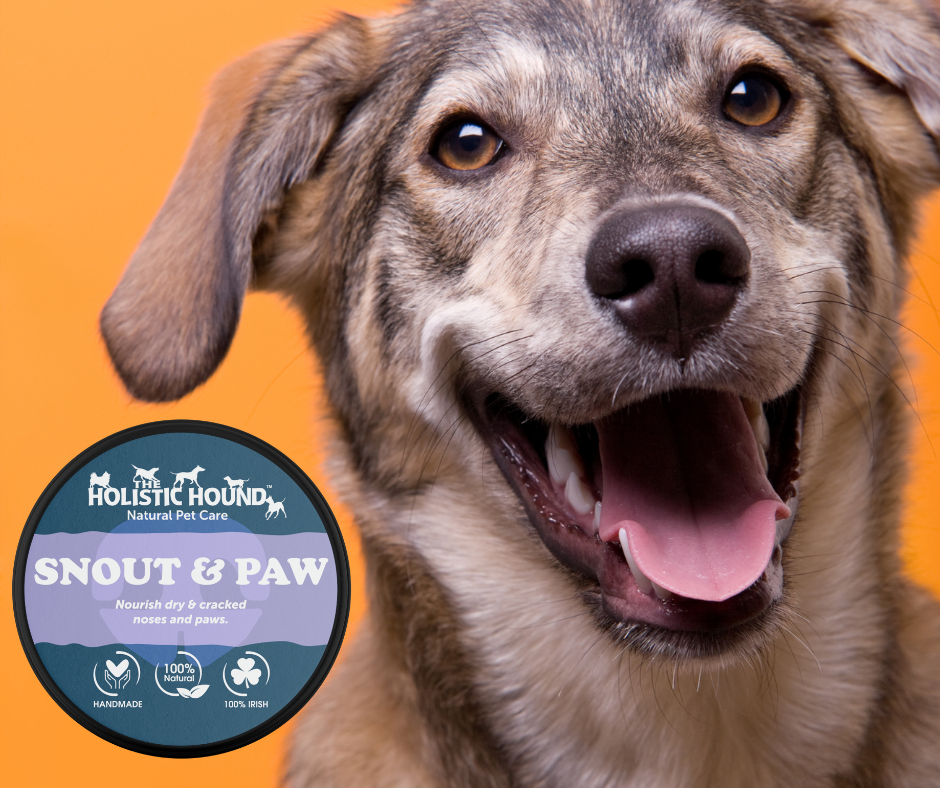 The Holistic Hound Snout & Paw Balm