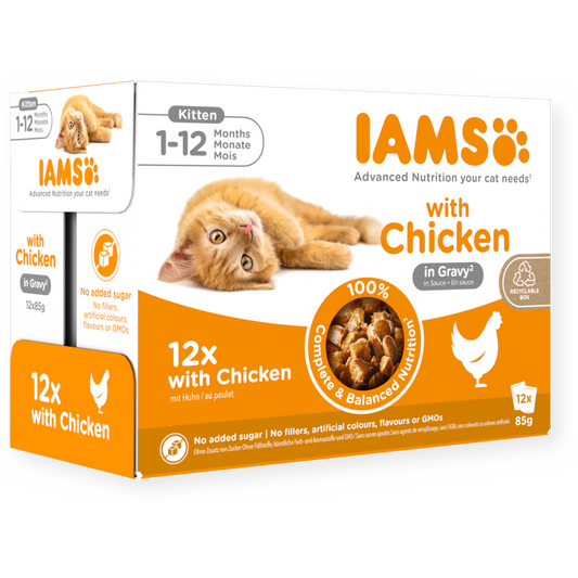 IAMS Delights Kitten Chicken in Gravy