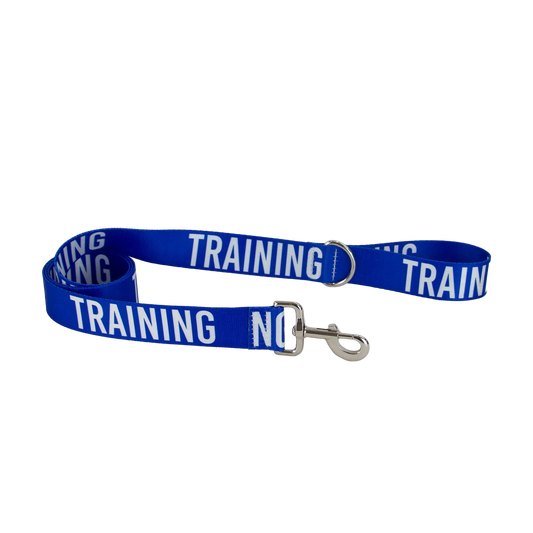 Blue Ancol 40mm Awareness Dog Lead with TRAINING wording and metal clip