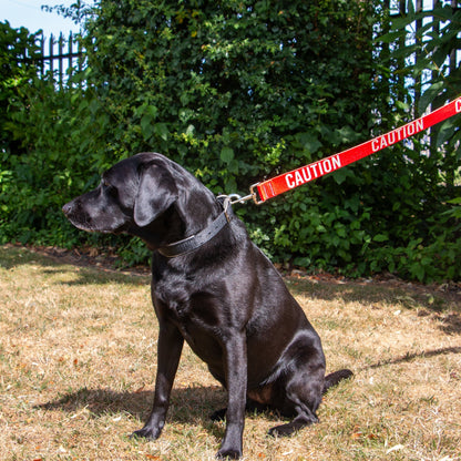 Ancol 40mm Awareness Lead Red - Caution in use