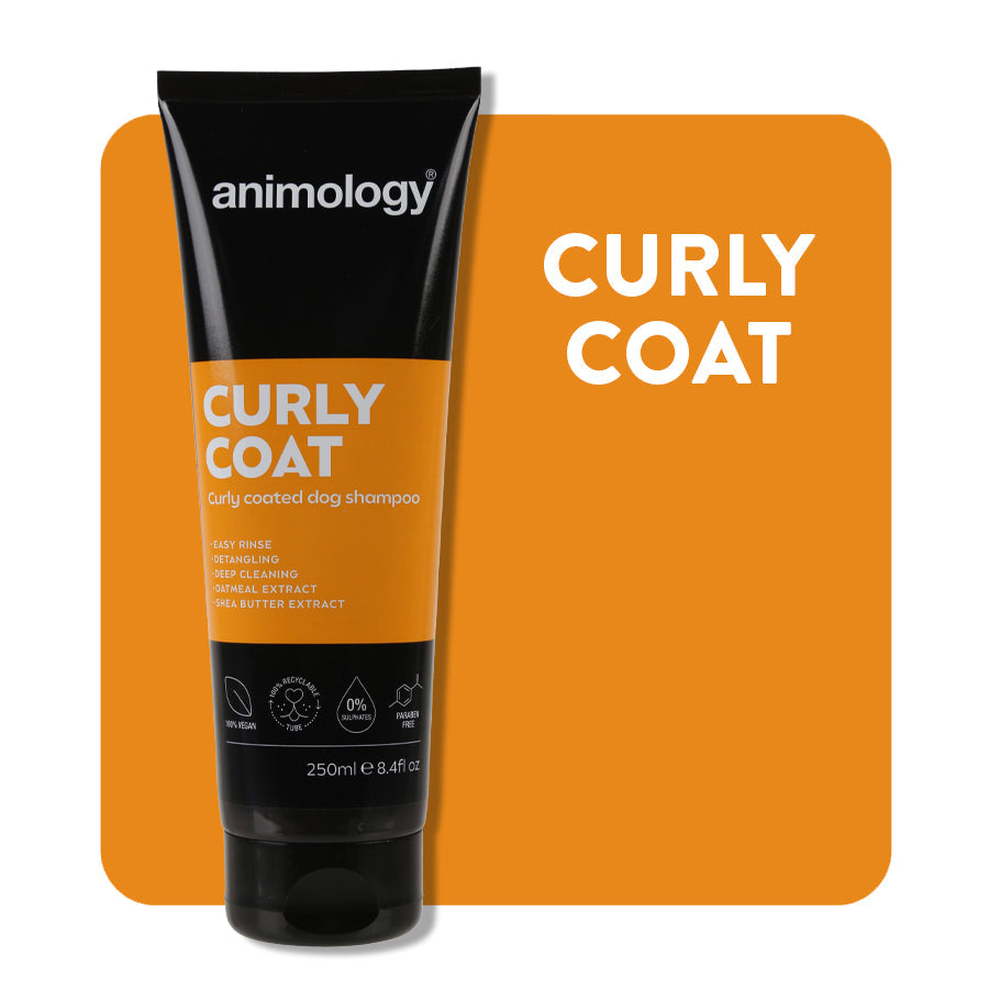 Animology Curly Coat Dog Shampoo 250ml product tube