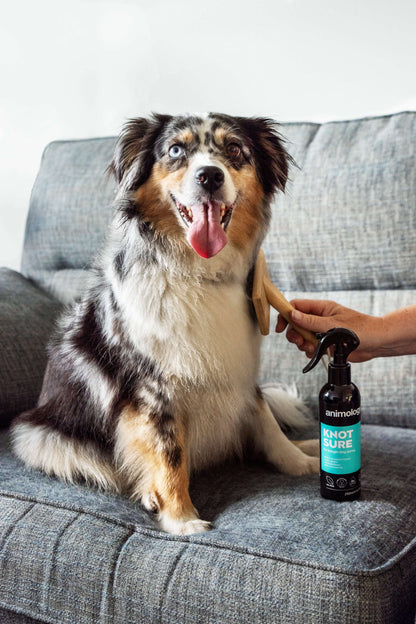 Dog with Animology Knot Sure De-Tangle Dog Spray
