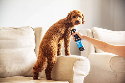 Puppy with Animology Mucky Pup No Rinse Puppy Shampoo