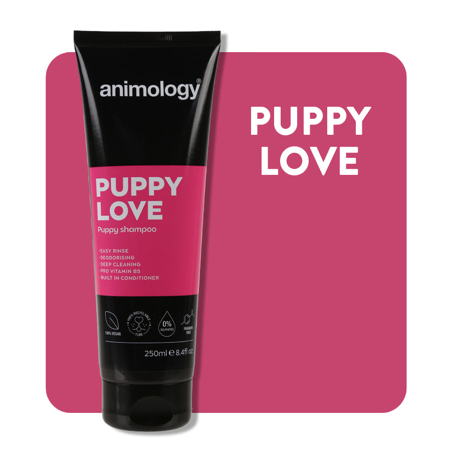 Animology Puppy Love Puppy Shampoo 250ml product tube