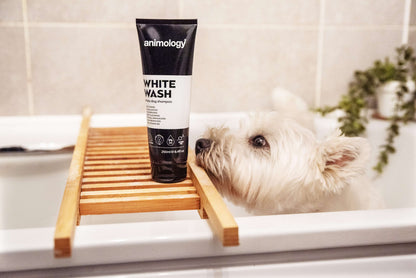 Dog being washed with Animology White Wash Shampoo