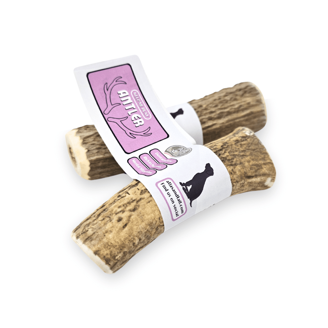 Atlas & Tail antler chew examples showing natural variation in shape and texture