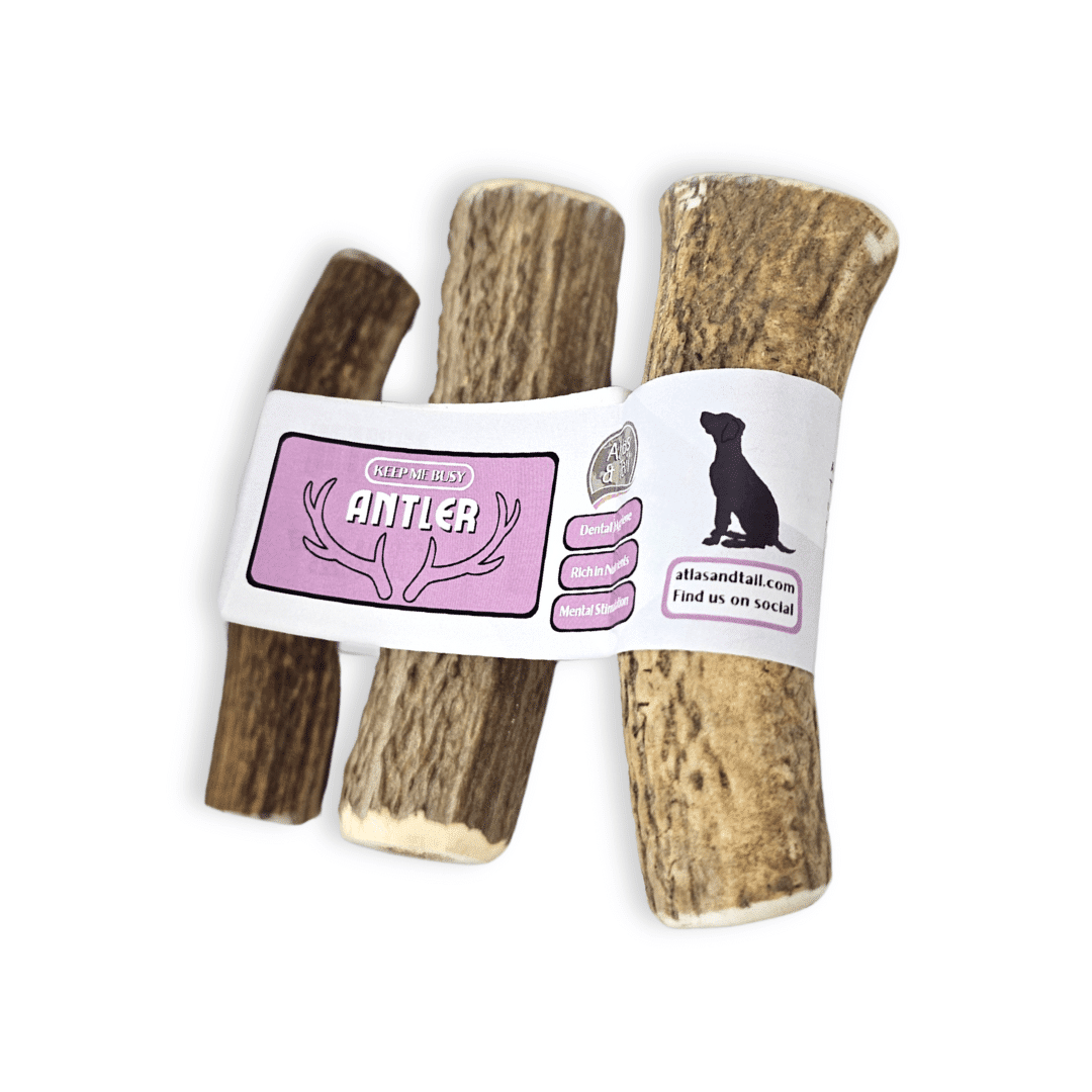 Atlas & Tail antler chew size comparison showing three examples; each size sold separately