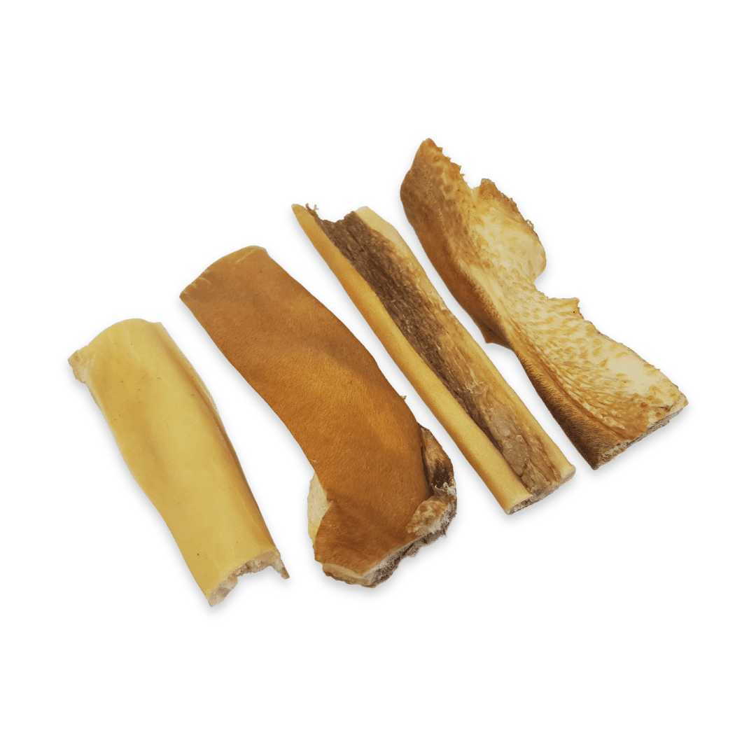 Atlas & Tail Beef Chews showing the natural beef skin texture