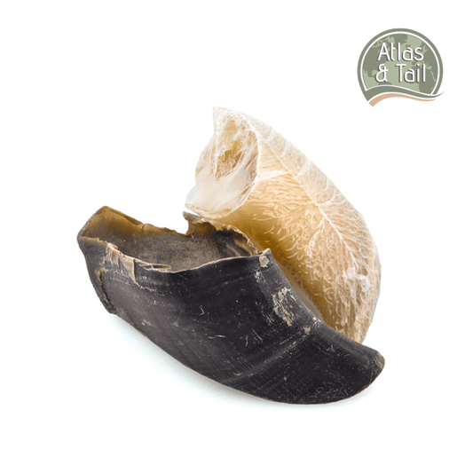 Atlas & Tail Beef Hooves