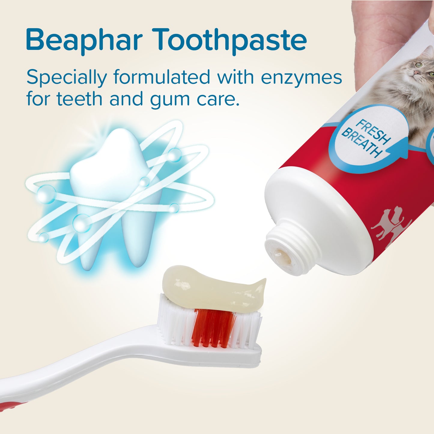Beaphar Toothpaste for Cats and Dogs dental care information