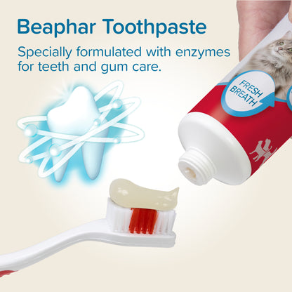 Beaphar Toothpaste for Cats and Dogs dental care information