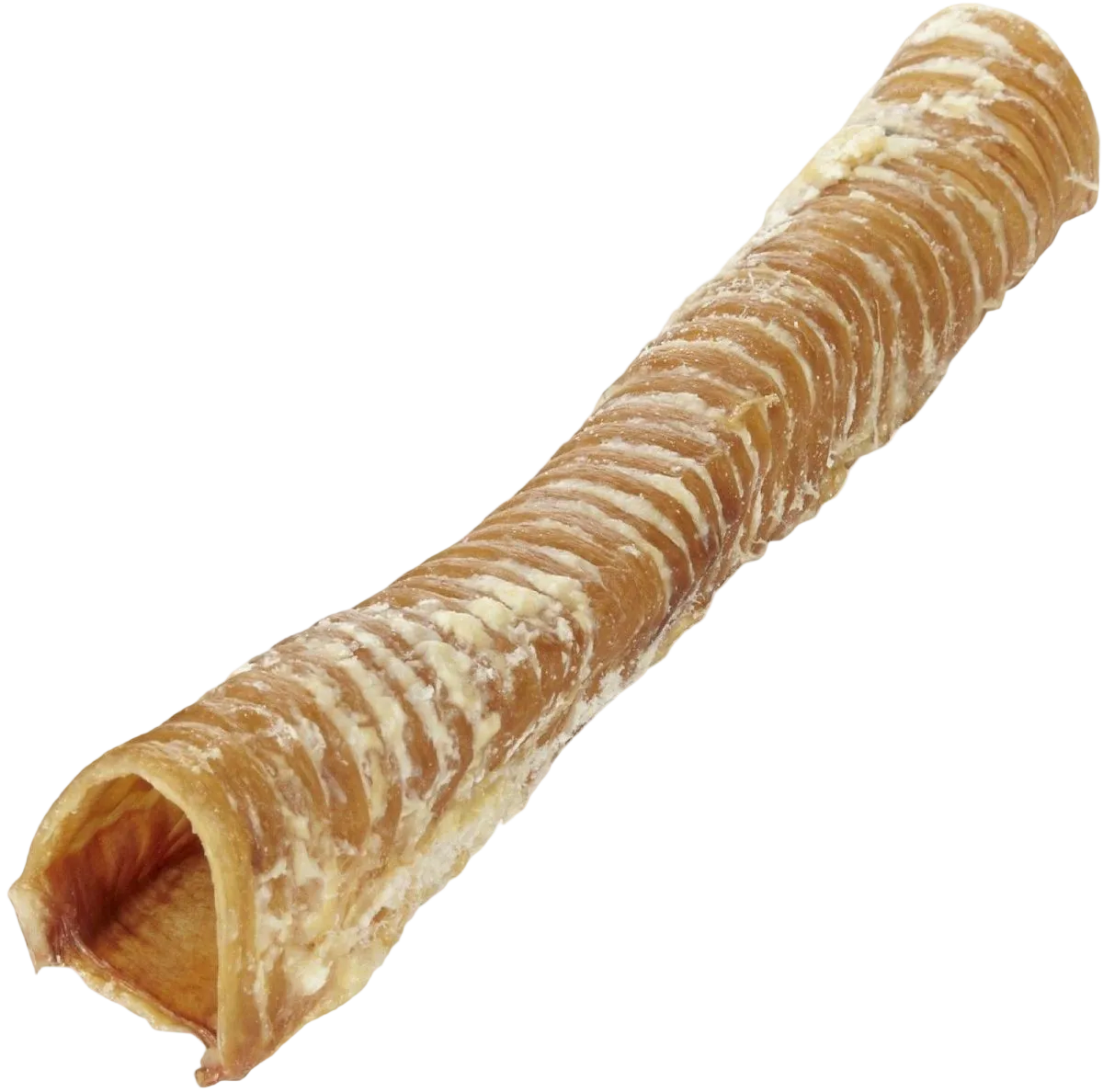 Beef Trachea Dog Chew 15cm