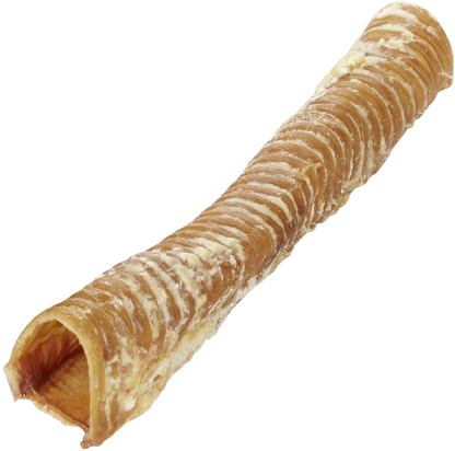 Beef Trachea Dog Chew 15cm