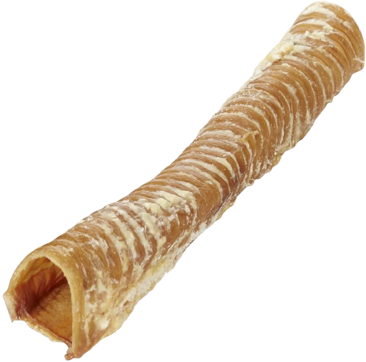 Beef Trachea Dog Chew 15cm